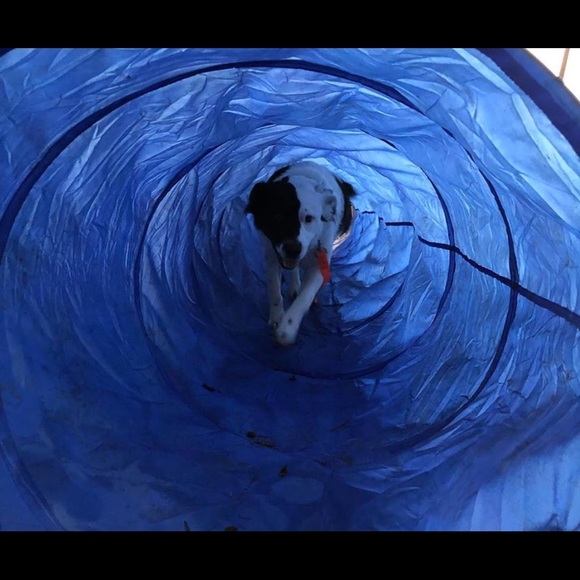 Meet your Posher, K - Picture 1 of 1